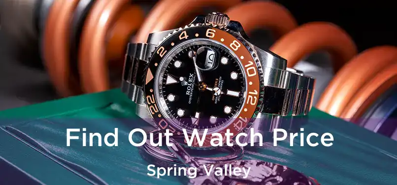 Find Out Watch Price Spring Valley