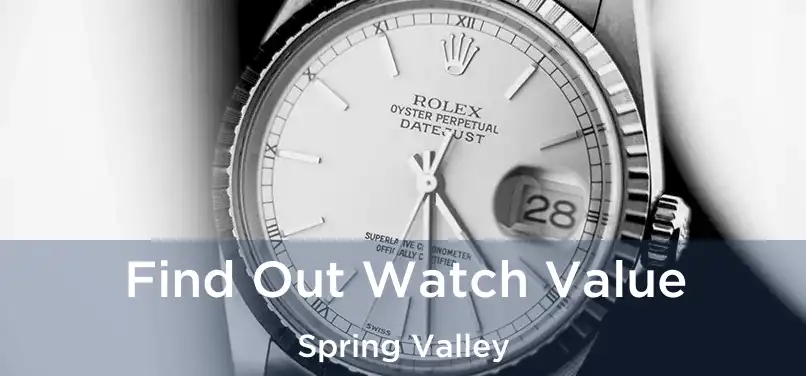 Find Out Watch Value Spring Valley