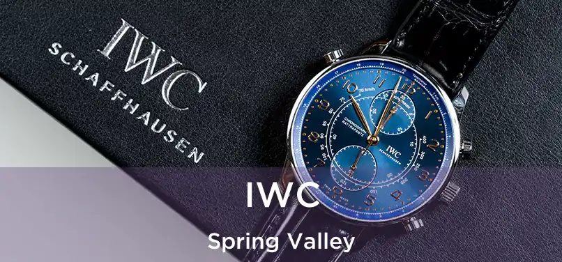 IWC Spring Valley