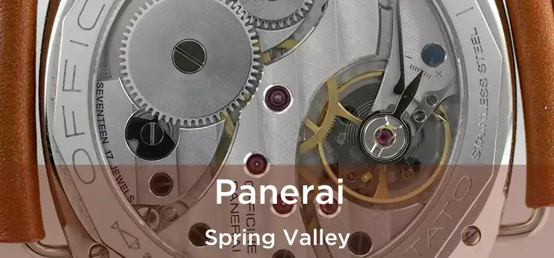 Panerai Spring Valley