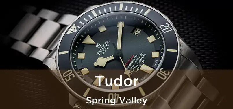 Tudor Spring Valley