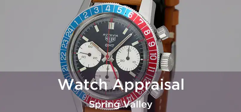 Watch Appraisal Spring Valley