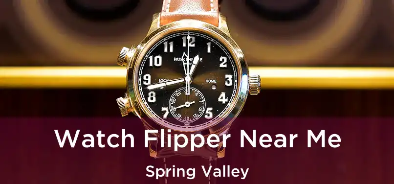 Watch Flipper Near Me Spring Valley